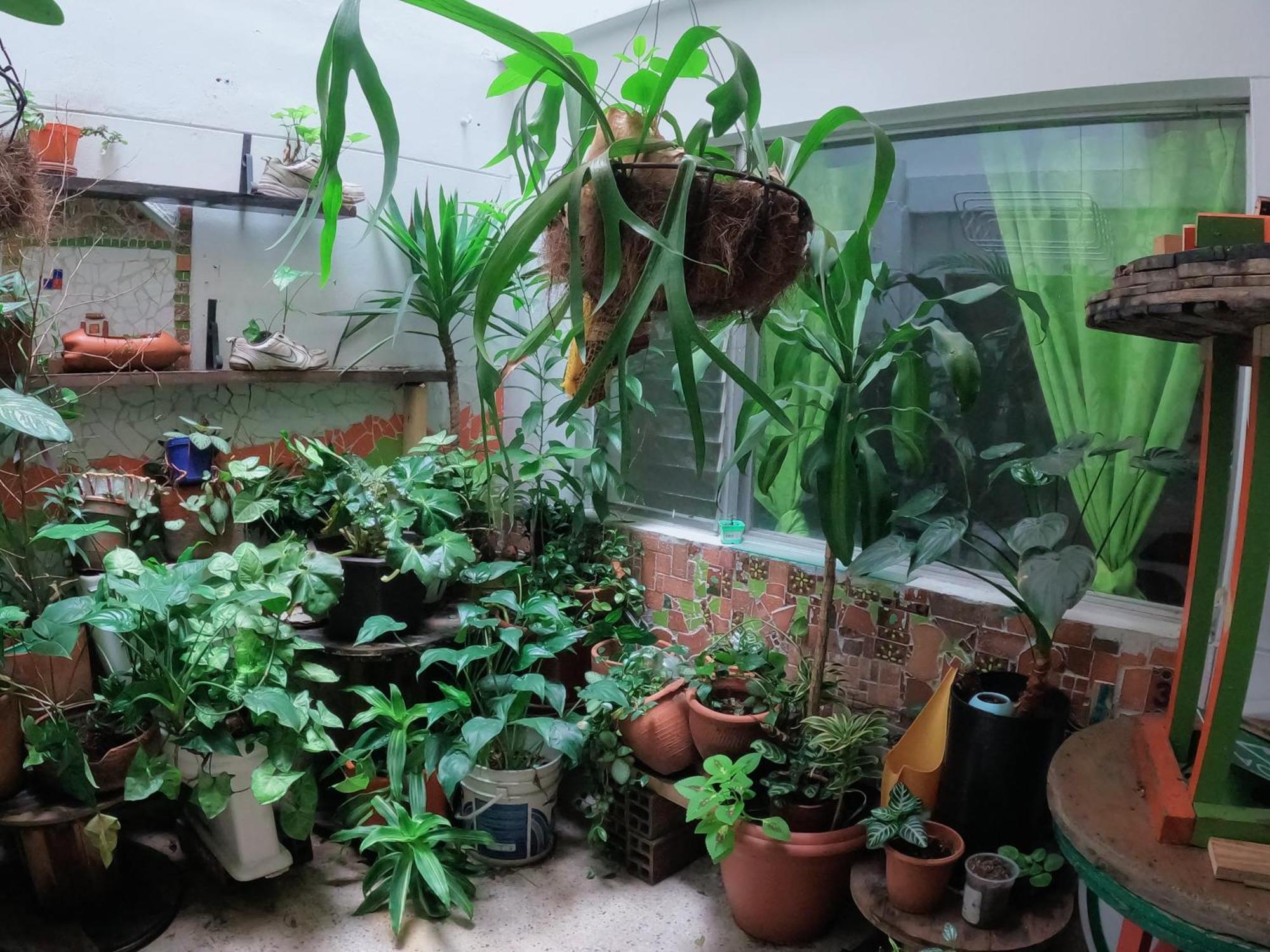 Rich Hostel Medellin